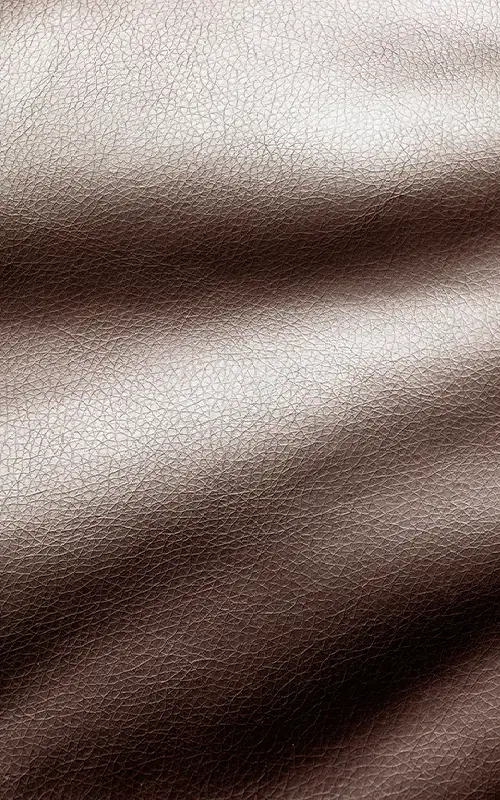 Industrieel Leer Woonstijlen Villa Arena Amsterdam